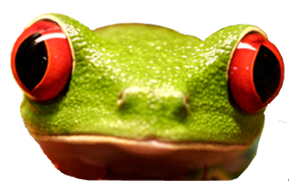 Frog.png
